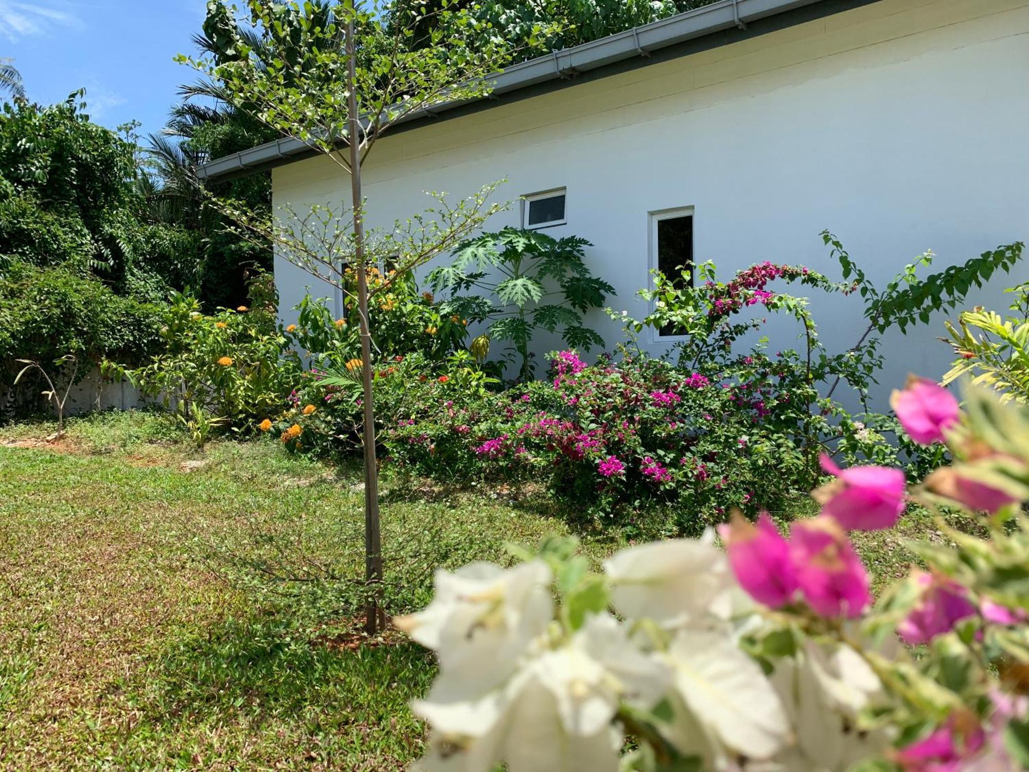 Cloud9 Holiday Cottages Pantai Cenang  Zewnętrze zdjęcie