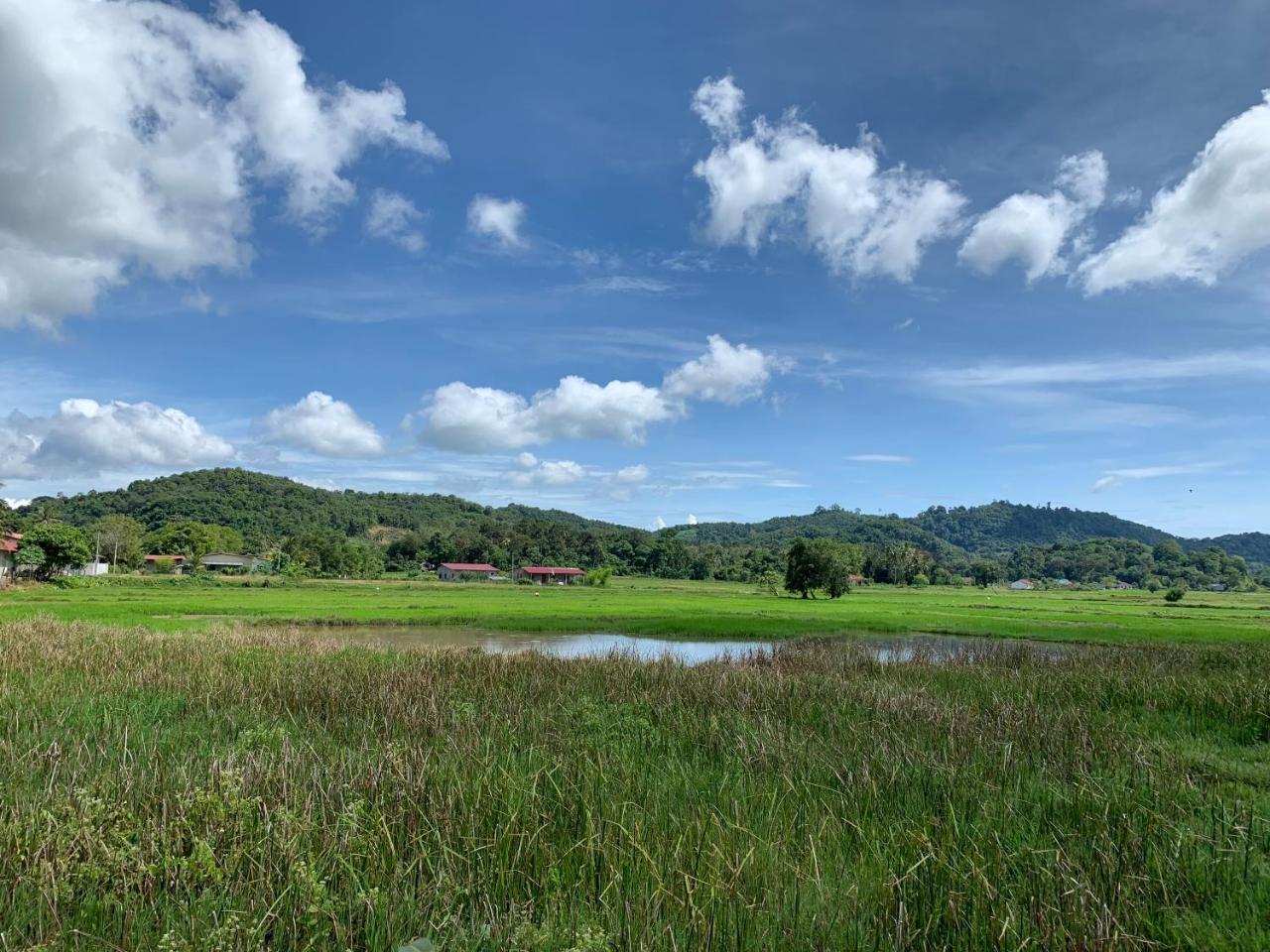 Cloud9 Holiday Cottages Pantai Cenang  Zewnętrze zdjęcie